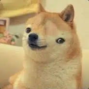 SI