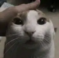 RCAT