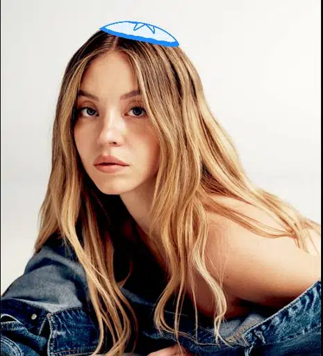 סידני