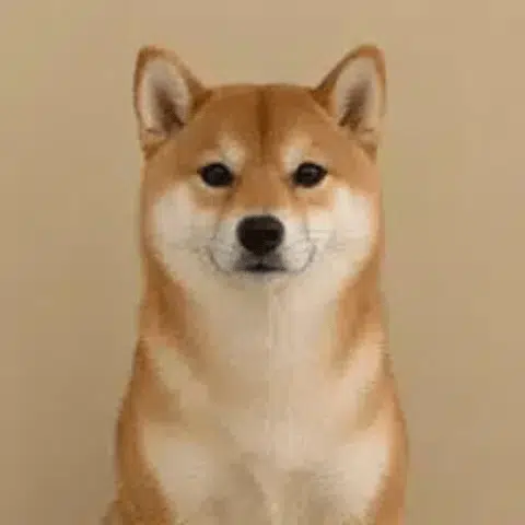 Inu