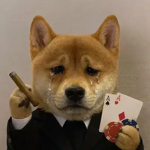 casinu