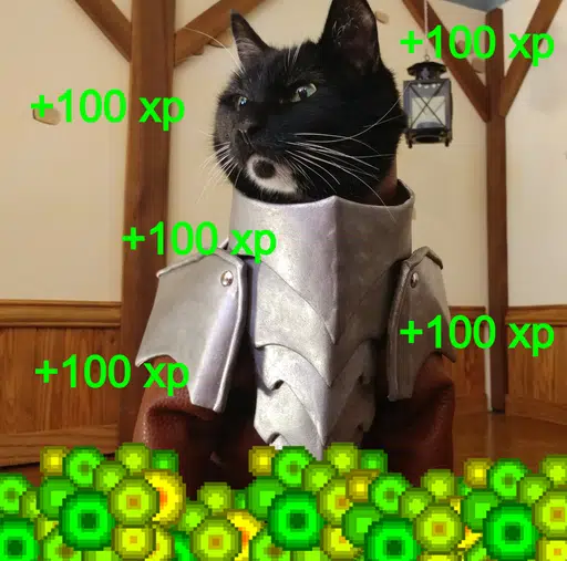 xp