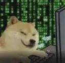 Hackinu