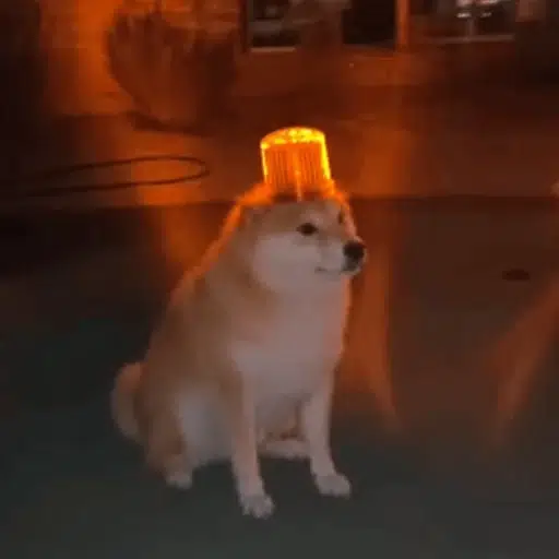 INUINUINUINUINUINUINUINUINUINUINUINUINUINUINUINUINUINUINUINUINUINUINUINUINUINUINUINUINUINUINUINUINUINUINUINUINUINUINUINUINUINUINUINUINUINUINUINUINUINUINUINUINUINUINUINUINUINUINUINUINUINUINUINUINUINUINUINUINUINUINUINUINUINUINUINUINUINUINUINUINUINUINUINUINUI