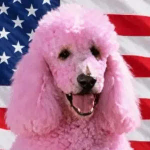 PINKY