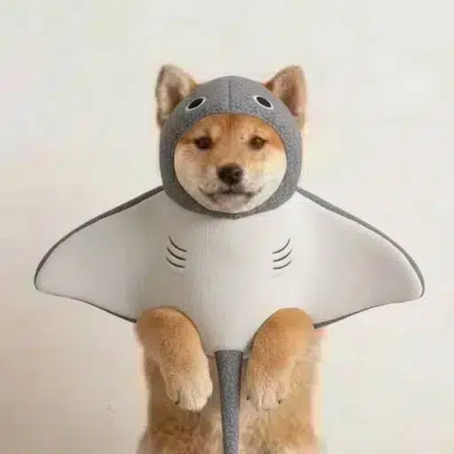 ray