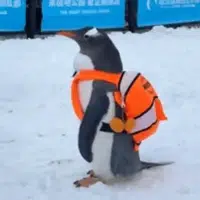 TAOTAO