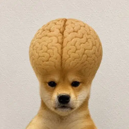 DI