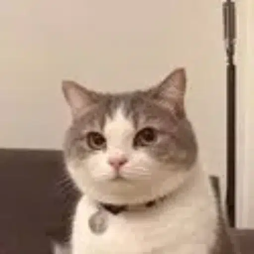 DCAT