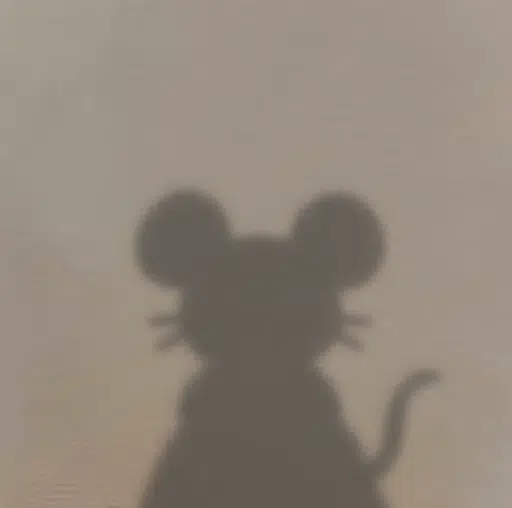 ​
