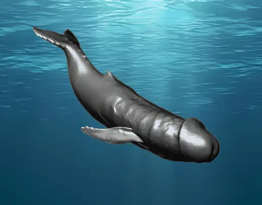 Moby
