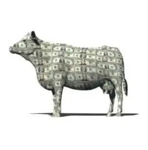 CASHCOW