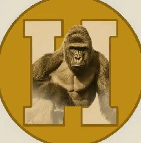 Harambe