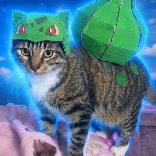 Leo