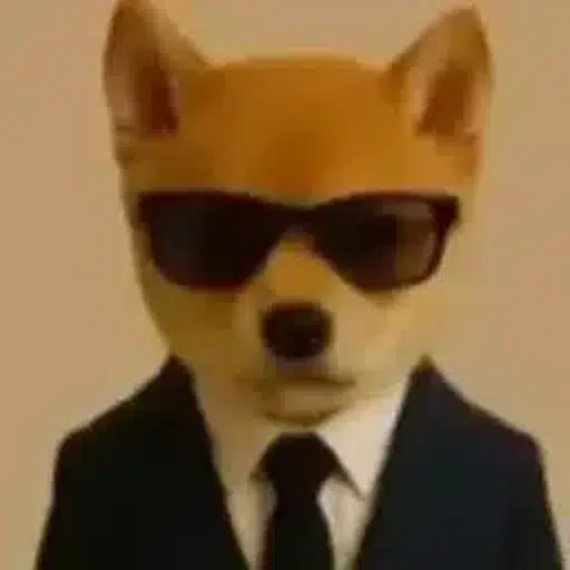 SI
