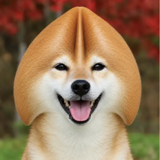 TIPINU