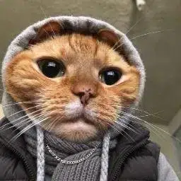 LCAT