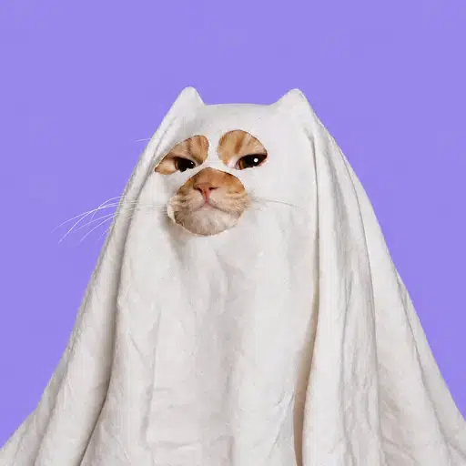 PCAT