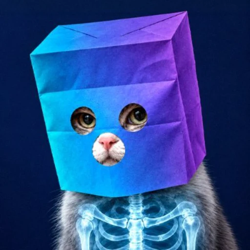 XRAY