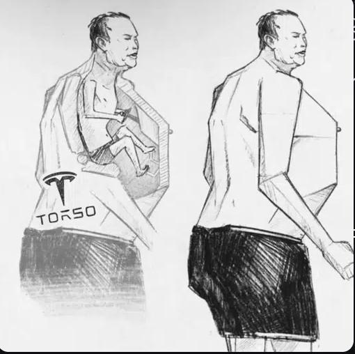 TORSO