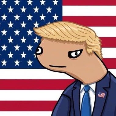 POTUS