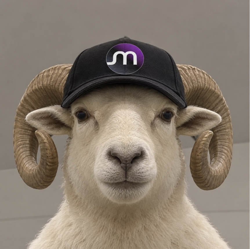 RAM