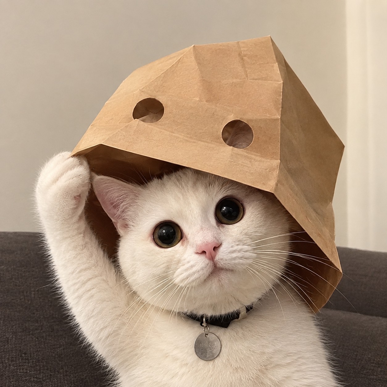 TCAT