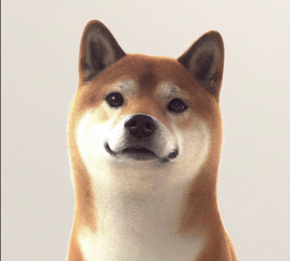 OPENINU