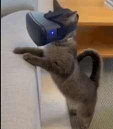 VRCAT