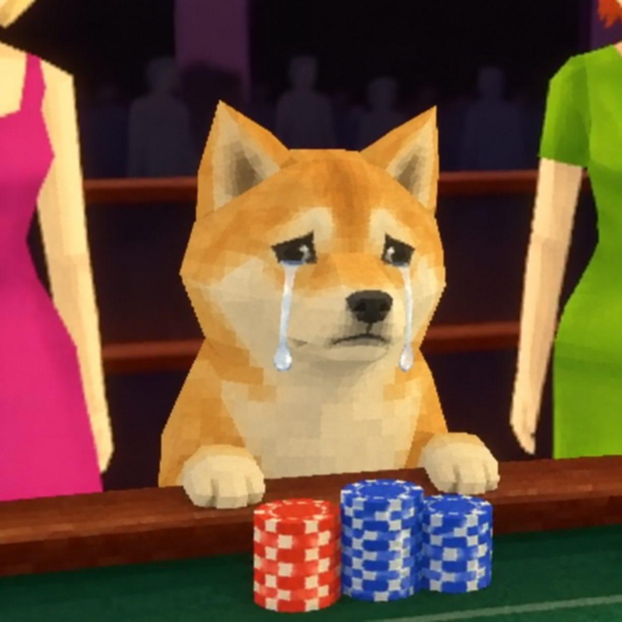 CASINU