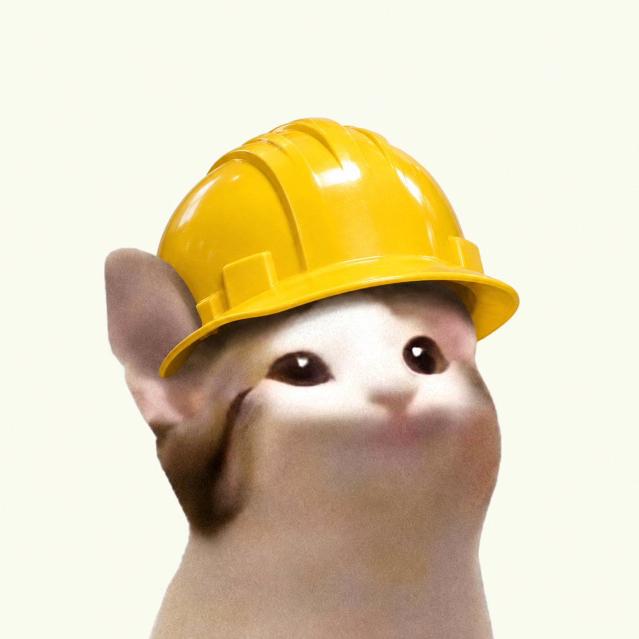 MINECAT