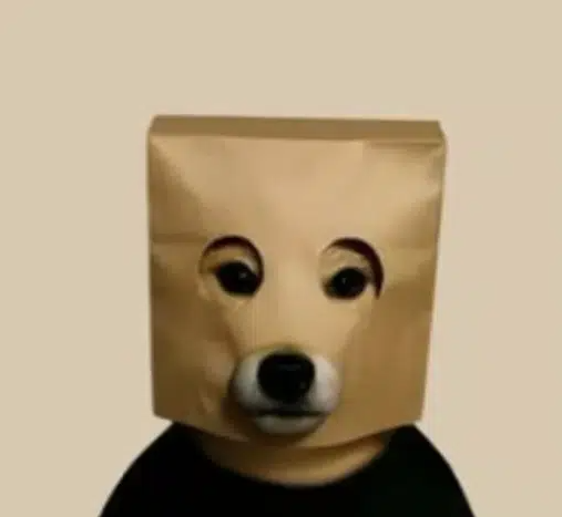 INUCOGNITO