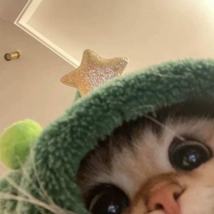 HOODCAT