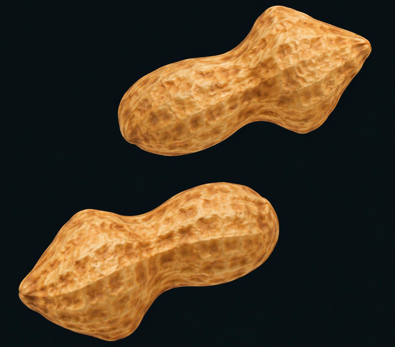 NUTZ