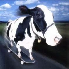 MOONERO