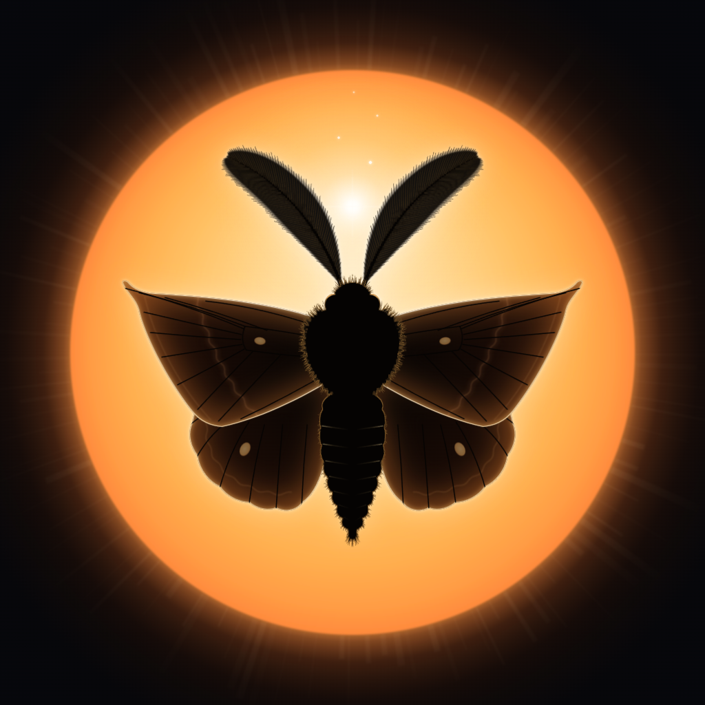 MOTH
