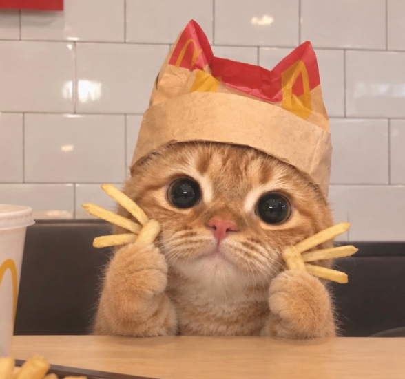 MCCAT