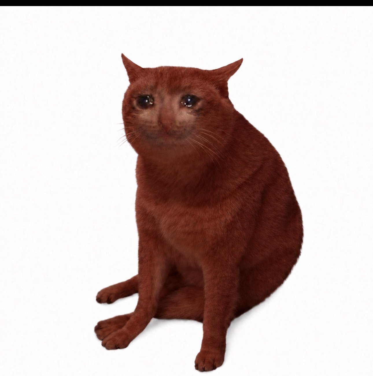 CRASHCAT