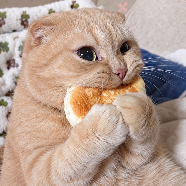 NOM