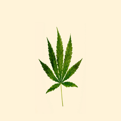 WEED