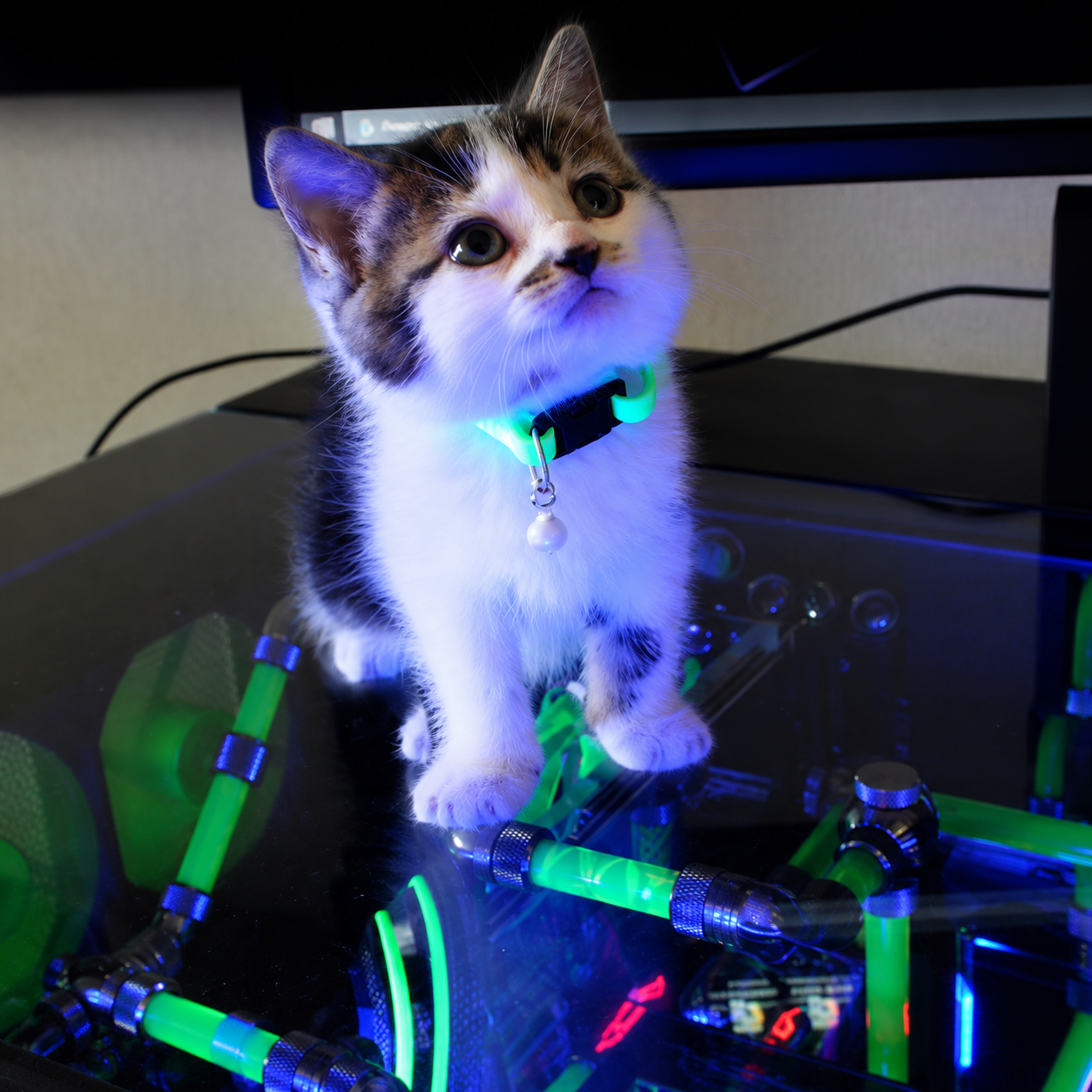 MAU
