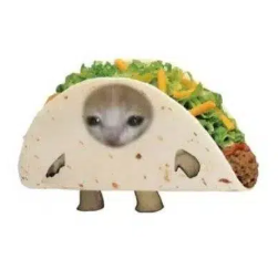 TACOCAT