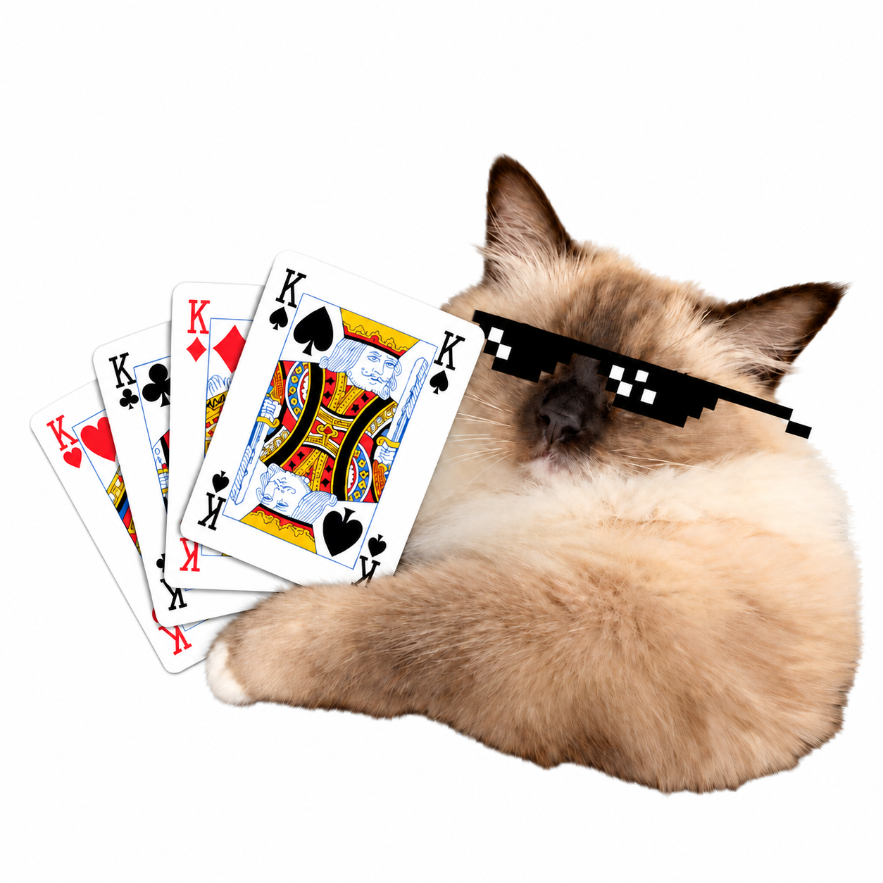 CATK