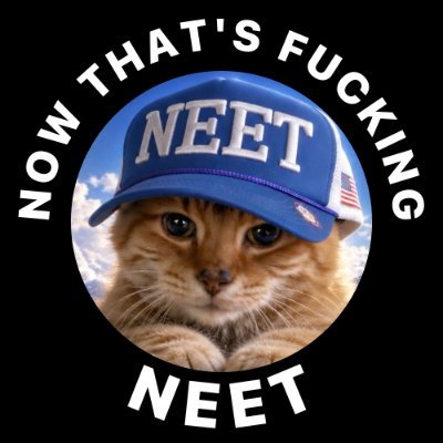 NEETCAT