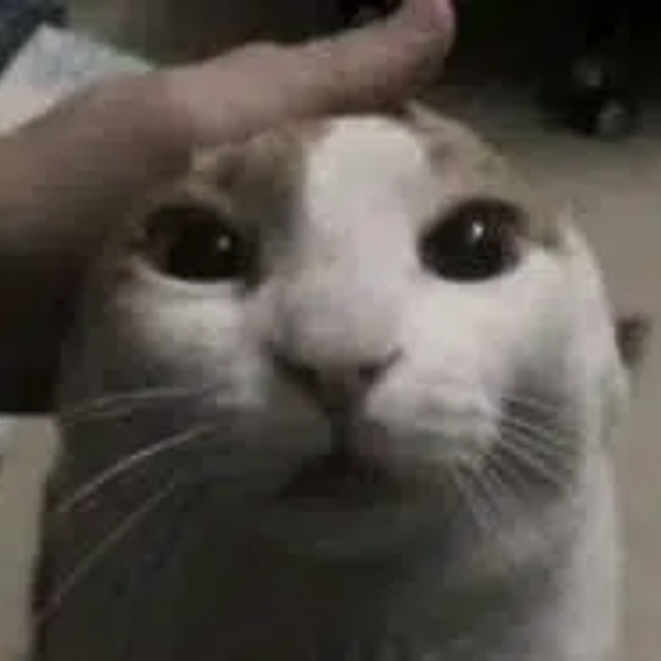 RAM