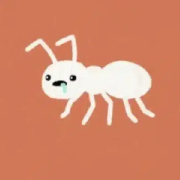 ANT