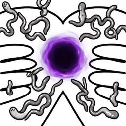 WORMHOLE