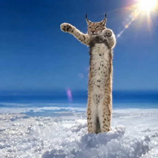 LOOOOOOOOOOOOOOOOOOOOOOOOOOOOOOOOOOOOOOOOOOOOOOOOOOOOOOOOOOOOOOOOOOOOOOOOOOOOOOOOOOOOOOOOOOOOOOOOOOOOOOOOOOOOOOOOOOOOOOOOOOOOOOOOOOOOOOOOOOOOOOOOOOOOOOOOOOOOOOOOOOOOOOOOOOOOOOOOOOOOOOOOOOOOOOOOOOOOOOOOOOOOOOOOOOOOONG
