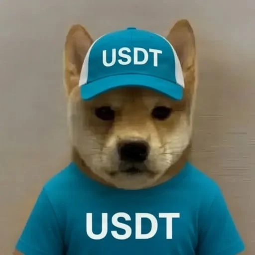 SI