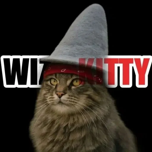 WizardKitty